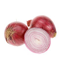 Fresh Onion Wholesale /Fresh Vegetables From China